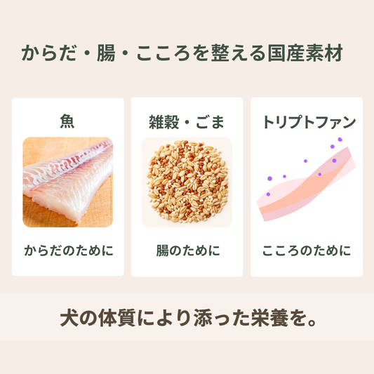 CHOUKATSU ― 犬のからだと心を、食から整えるごはん ―