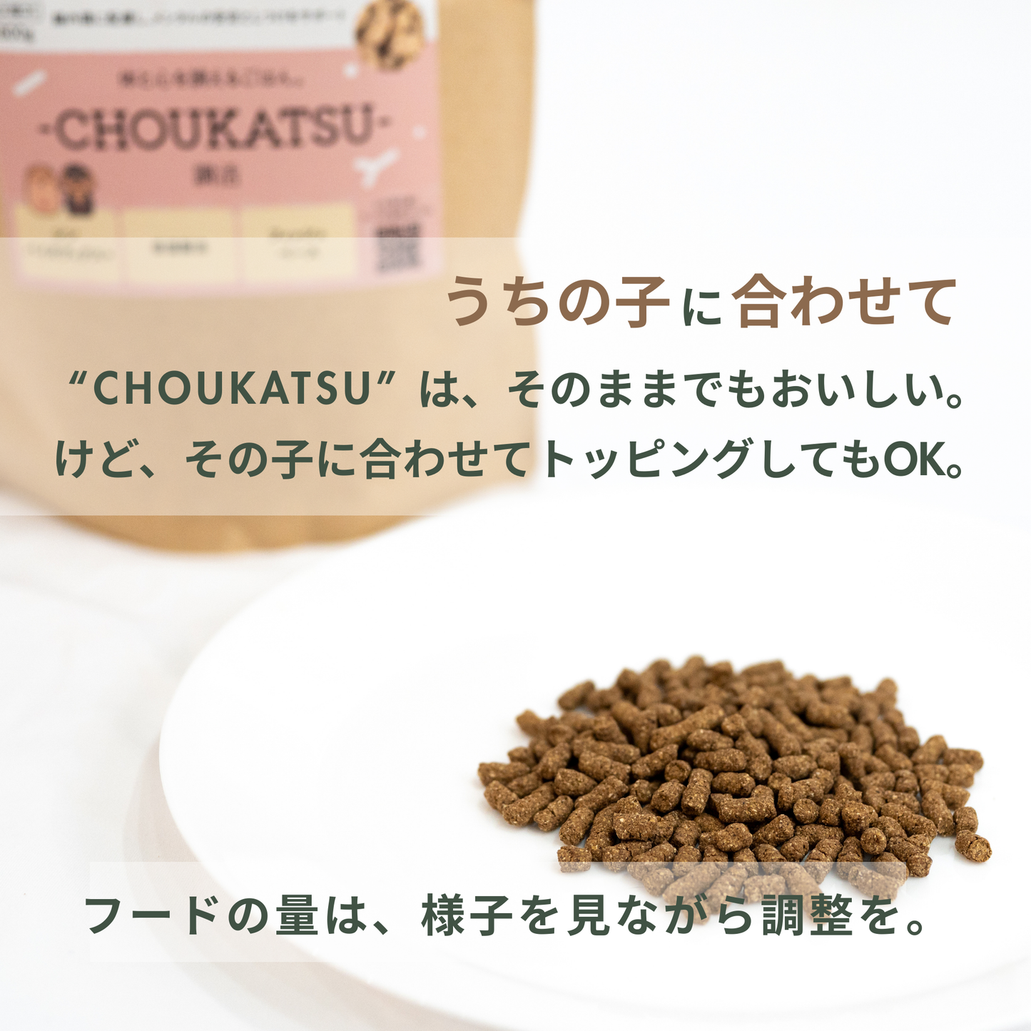 CHOUKATSU ― 犬のからだと心を、食から整えるごはん ―