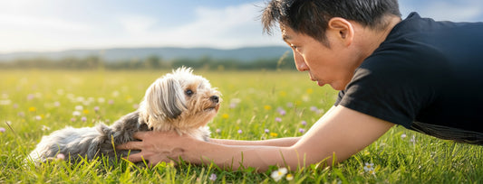 愛犬の熱中症サインを早期発見☀️ 夏の散歩・室内・水分ケアをドッグトレーナーが解説🌻