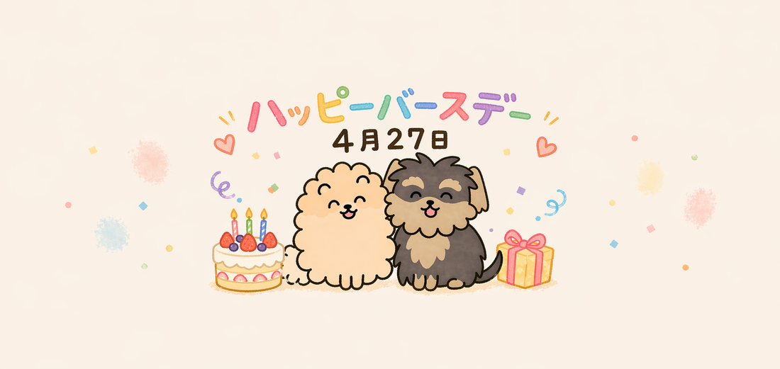 ヒロの誕生日 感謝のプレゼント企画！