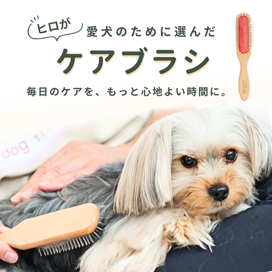 テラケアブラシ ペット＆人兼用｜ふんわり仕上げ・やさしいブラッシングケア