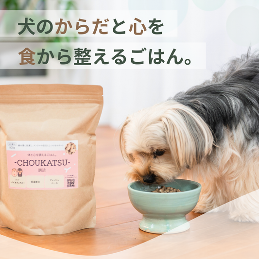 CHOUKATSU ― 犬のからだと心を、食から整えるごはん ―