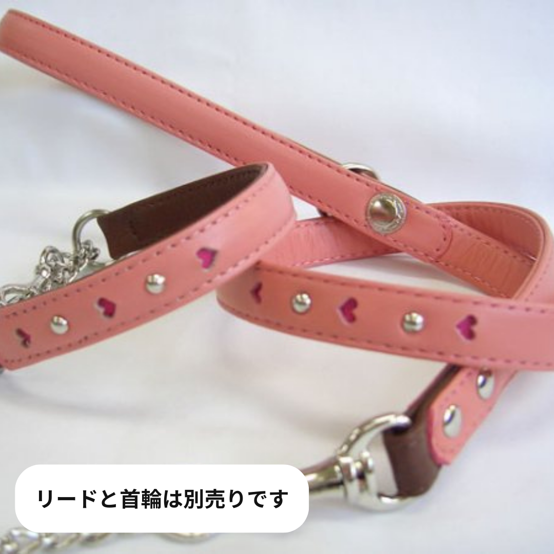 [キップ] チェーン付きリード（小型犬用）ジョンハウス