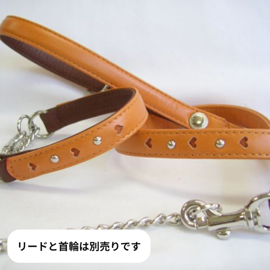 [キップ] チェーン付きリード（小型犬用）ジョンハウス