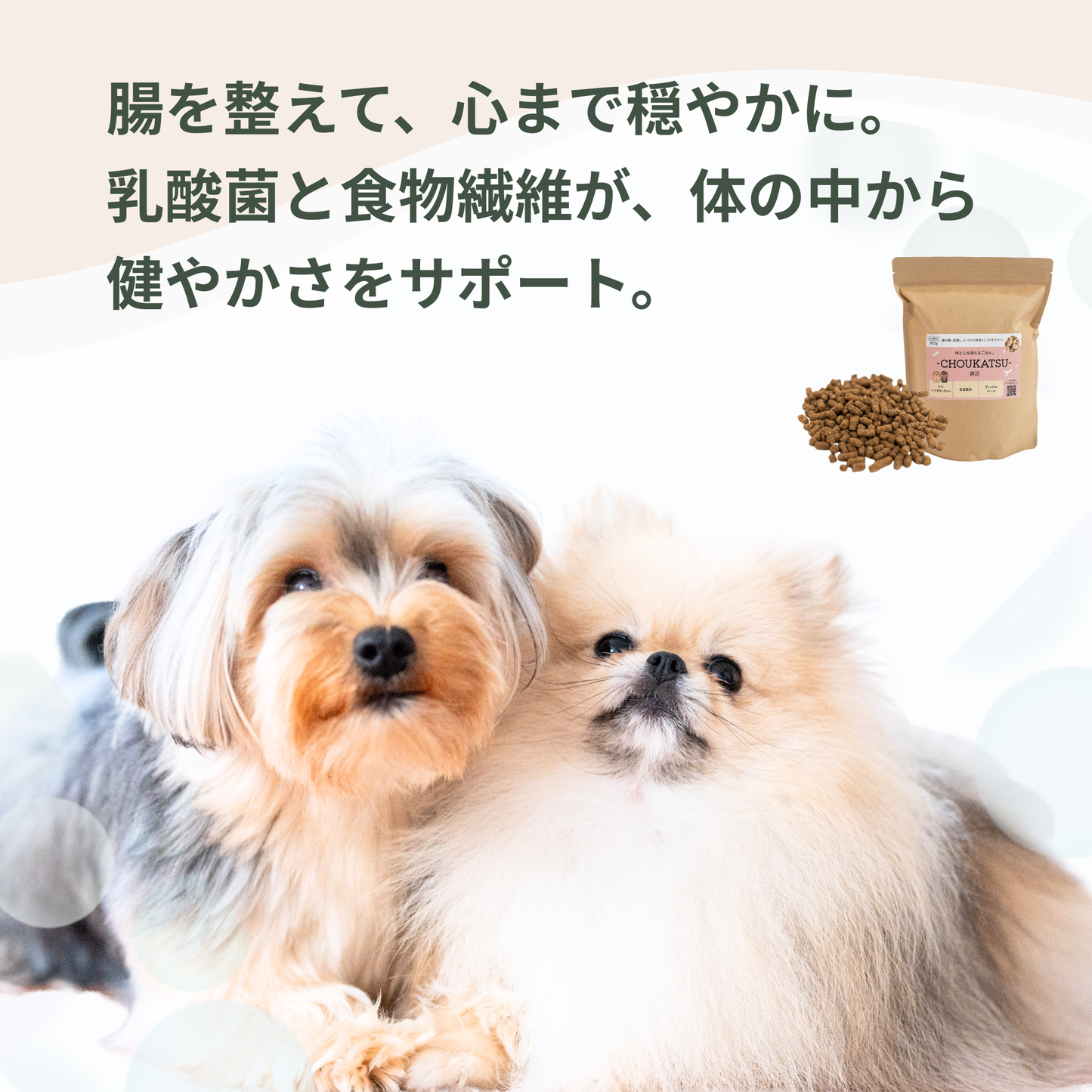 CHOUKATSU ― 犬のからだと心を、食から整えるごはん ―