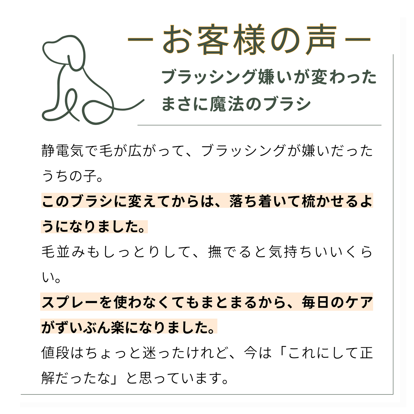 テラケアブラシ ペット＆人兼用｜ふんわり仕上げ・やさしいブラッシングケア