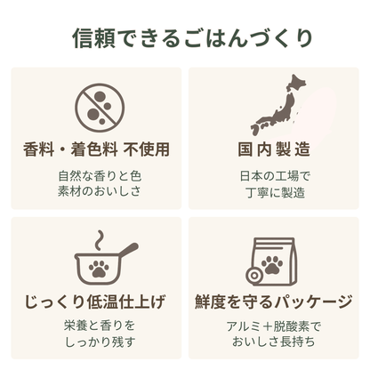 CHOUKATSU ― 犬のからだと心を、食から整えるごはん ―