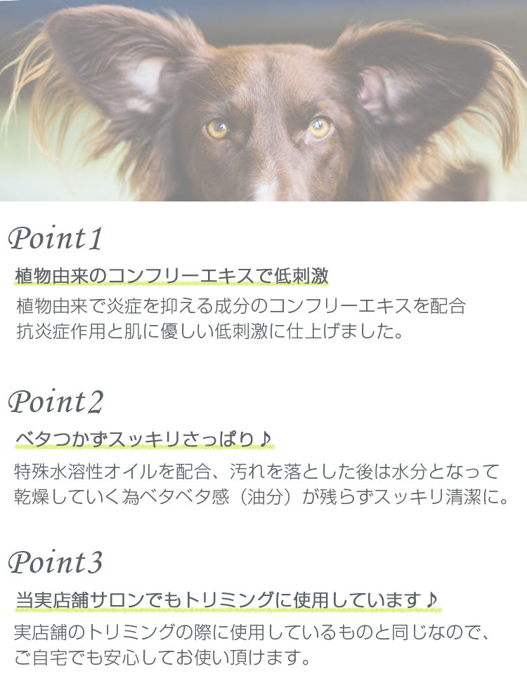 mimi ペット用イヤークリーナー 100ml｜低刺激＆無香料タイプ｜犬用